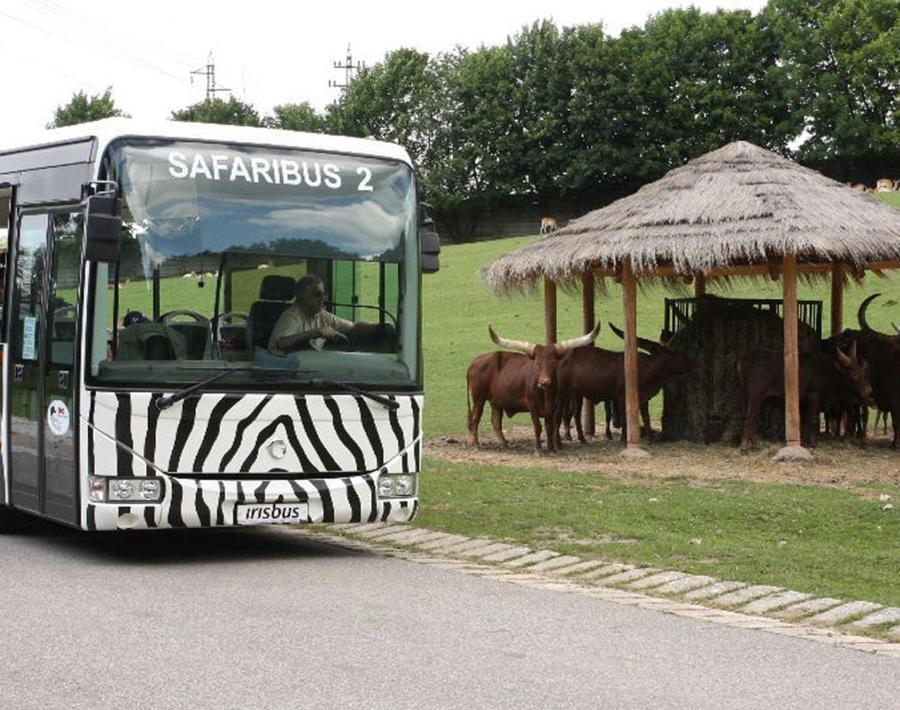 Holiday home Rekreacni Dum U Skritku *